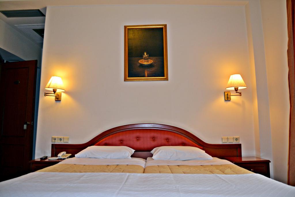 Pythia Art Hotell Delfi Rom bilde